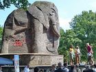 Der Elefant im Nelson-Mandela-Park